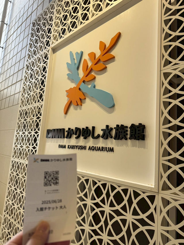 【如夢似幻的藍色奇遇】——走進DMM沖繩水族館，感受海洋的溫柔呼吸