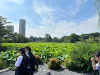 Ueno Park Tokyo: Where Nature Meets Culture