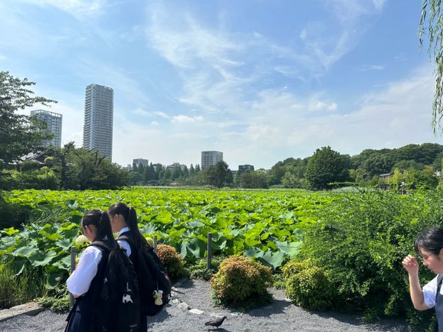 Ueno Park Tokyo: Where Nature Meets Culture