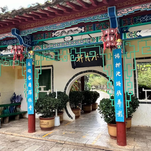 🌿 A Peaceful Escape in Kunming: Green Lake Park (翠湖) 🌿