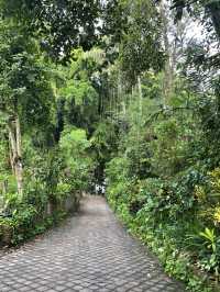 🇮🇩 Campuhan Ridge Walk