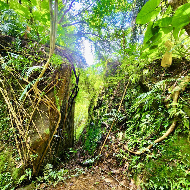 走讀城鄉（汐止五堵）～通往煤礦故鄉的鄉長厝橋