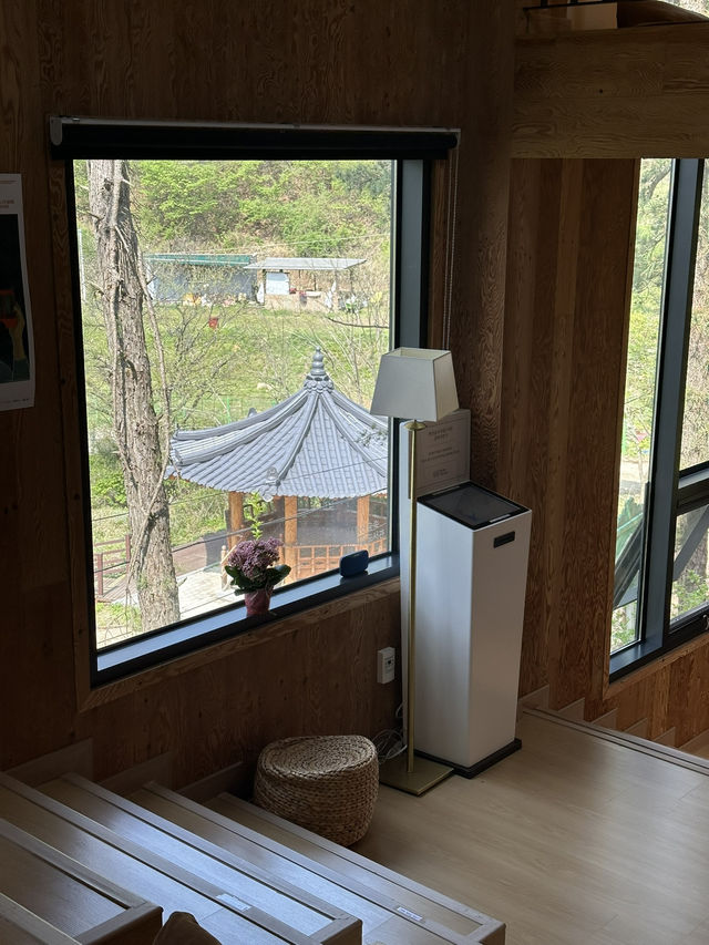 조용한 여유를 느낄 수 있는 전주 도서관