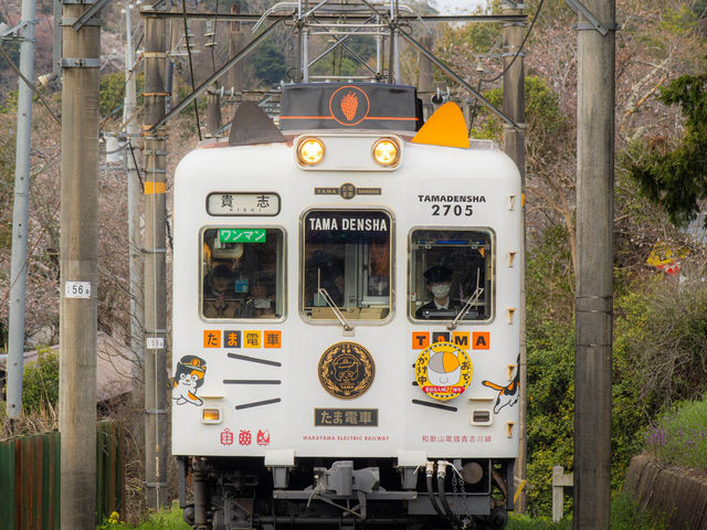 📍和歌山-貴志貓貓列車