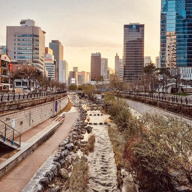 Cheonggyecheon Stream: Seoul's Urban Oasis – A Solo Stroll Through Liquid Light"** 🌊✨   