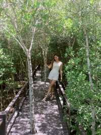 วนอุทยานปราณบุรี จ.ประจวบคีรีขันธ์