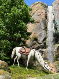 Love exploration only at Tokyo DisneySea