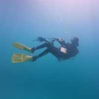 ดำน้ำลึกกับ Castaway Divers Koh Lipe