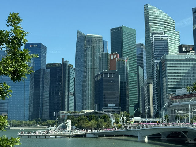 Vibrant Pulse of Singapore 🇸🇬 