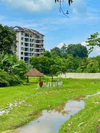 Peaceful spots to unwind and reconnect with nature 🌴🌳🌲👫😍
