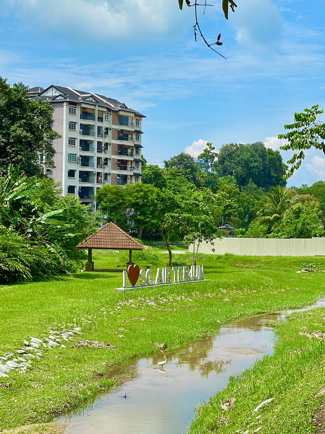 Peaceful spots to unwind and reconnect with nature 🌴🌳🌲👫😍