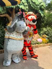 Beyond the Fairytale: Why Shanghai’s Disney Castle Reigns Supreme