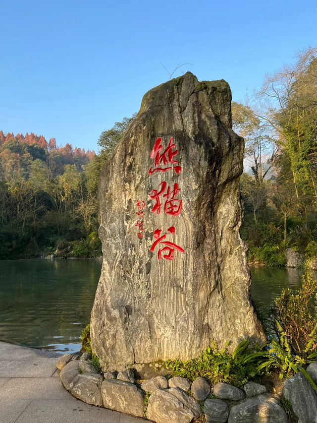 Dujiangyan Panda Valley 🐾