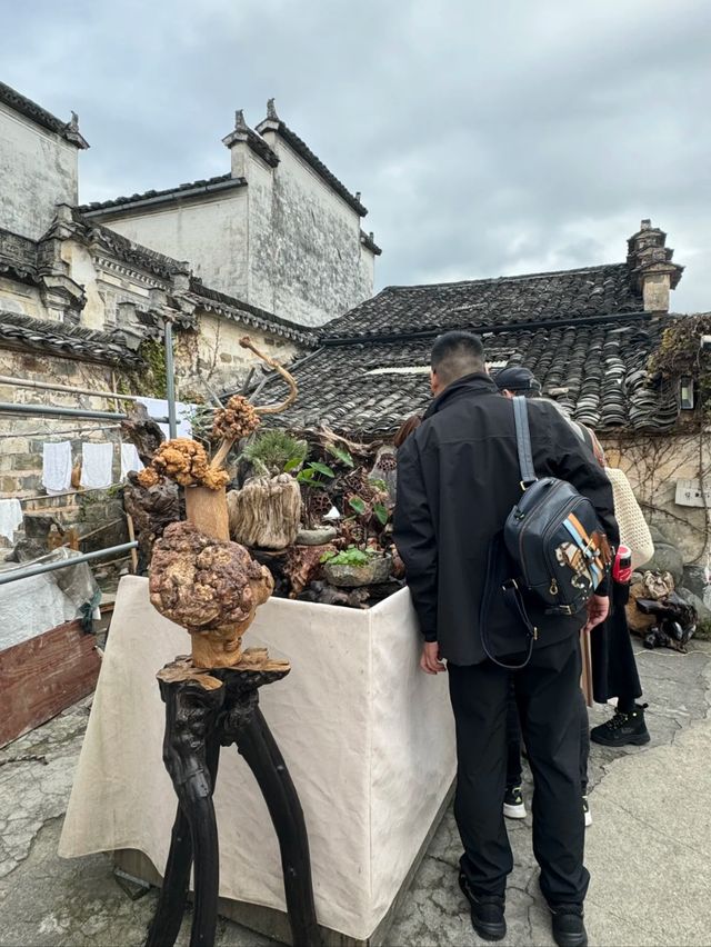 Hongcun: The Village Time Forgot, But Art Remembered