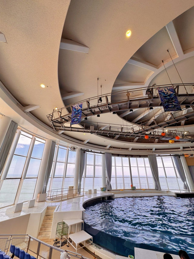 【茨城】期間限定✼SUMMER AQUAWORLD2025