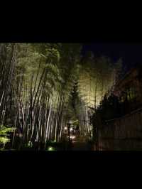 【竹林の小径】風が奏でる癒しの音🎋嵐山で心ほどけるひととき