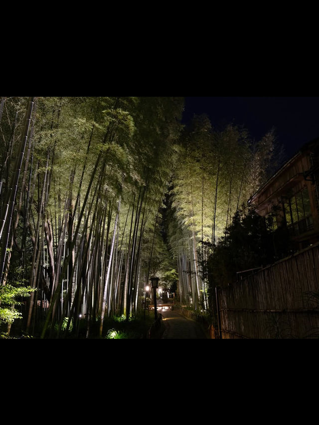 【竹林の小径】風が奏でる癒しの音🎋嵐山で心ほどけるひととき