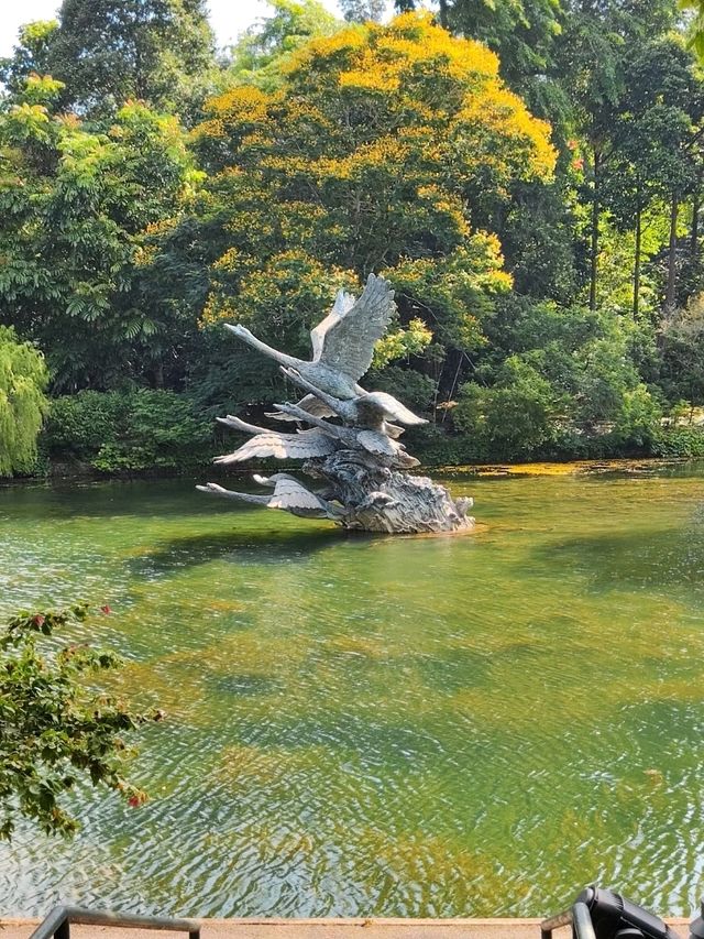 Botanic Garden in Singapore