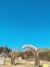 A Symbol of Jeju's Untouched Natural Beauty