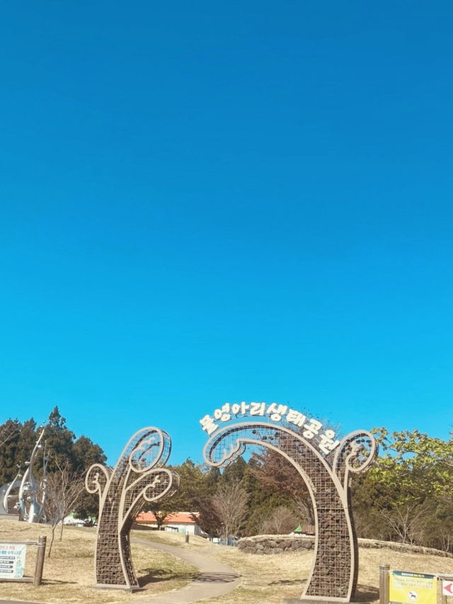 A Symbol of Jeju's Untouched Natural Beauty