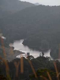Mist Wars: When Genting’s Jungle launched A Dalylight Raid