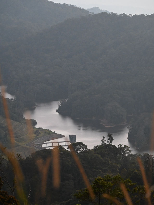 Mist Wars: When Genting’s Jungle launched A Dalylight Raid