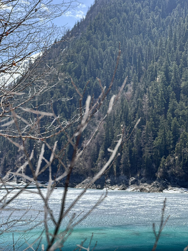 Glacial Citadel: Infiltrating Jiuzhaigou’s Silent Water Vault At 3100m