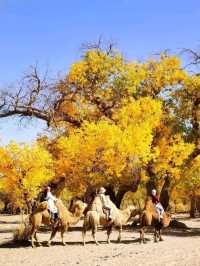 Golden Trees & Desert Vibes. Ejin Banner Totally Blew My Mind