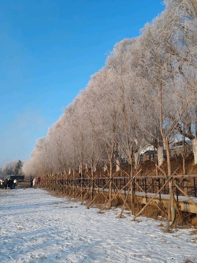 Jilin Rime: A Thousand Miles of Silver Frost (Morning Post Five-Star Marvel)