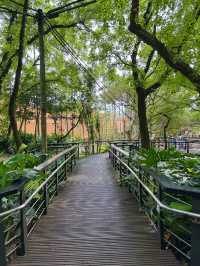 🌳奧爾森林學堂 藏身都市裡的森林教室:貓頭鷹樹屋、恐龍樂園、親子自然冒險一日遊!