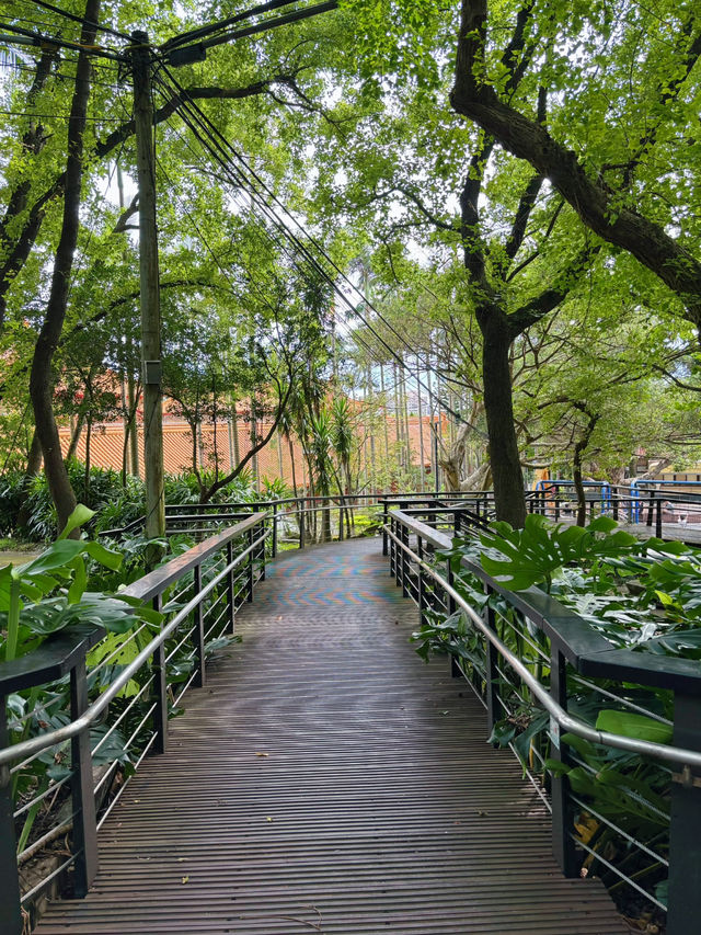 🌳奧爾森林學堂 藏身都市裡的森林教室:貓頭鷹樹屋、恐龍樂園、親子自然冒險一日遊! 🌳奧爾森林學堂 藏身都市裡的森林教室:貓頭鷹樹屋、恐龍樂園、親子自然冒險一日遊!