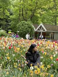 🌷 Keukenhof… เหมือนหลุดเข้าไปอยู่ในเทพนิยายดอกไม้
