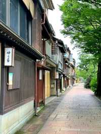 Edo Echoes: A Stroll Through Higashi Chaya District