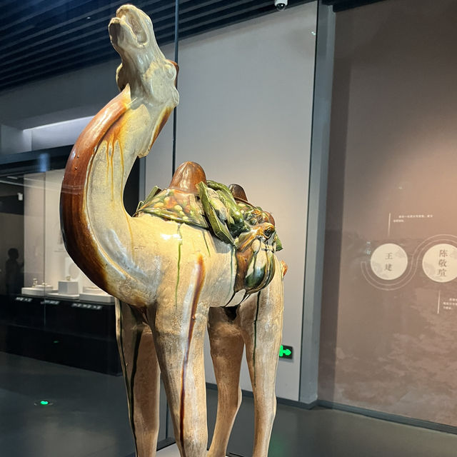 📍Discover Treasures of Ancient Shu – Sichuan Museum (四川博物院)