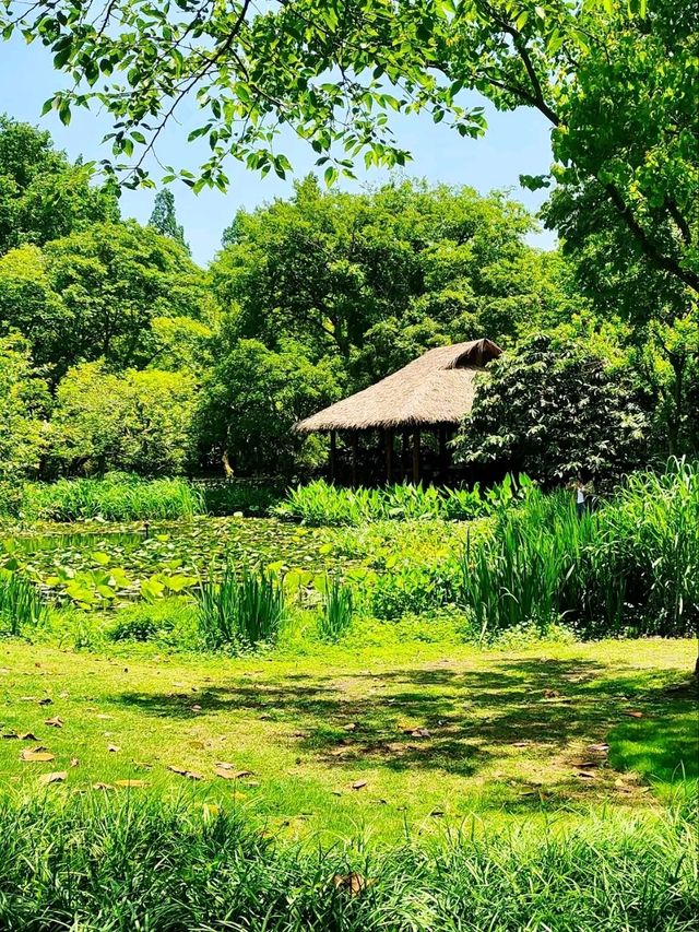 Maojiabu: Hangzhou’s Hidden Lakeside Sanctuary
