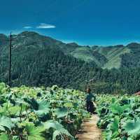 “Gateway to Longtang’s Timeless Miao Life”