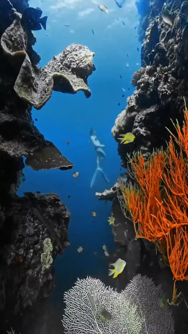 Free diving