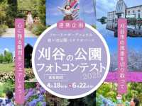 ชมดอกไฮเดรนเยียที่สวยงามของเมืองคะริยะ