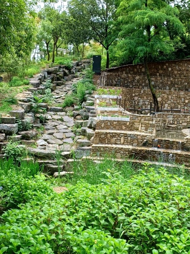 진주 도심 속 산림 힐링, 월아산