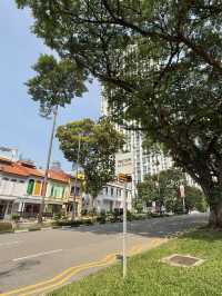 Wandering Through Everton Park: Where Roosters Roam And Shophouses Glow