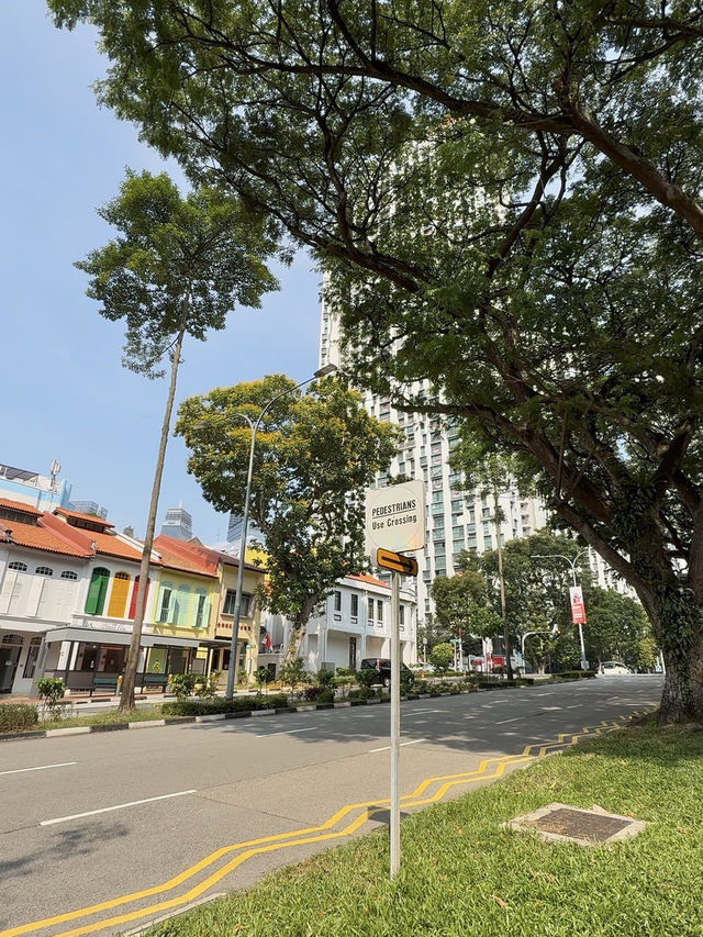 Wandering Through Everton Park: Where Roosters Roam And Shophouses Glow