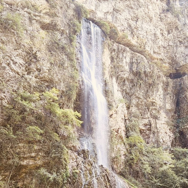 🏞️✨ *Zhangjiajie Grand Canyon (张家界大峡谷): China’s Glass Bridge & Jurassic Park Vibes* 🌉🌿