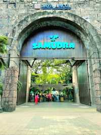 Dive Into the Wonders of SeaWorld Ancol