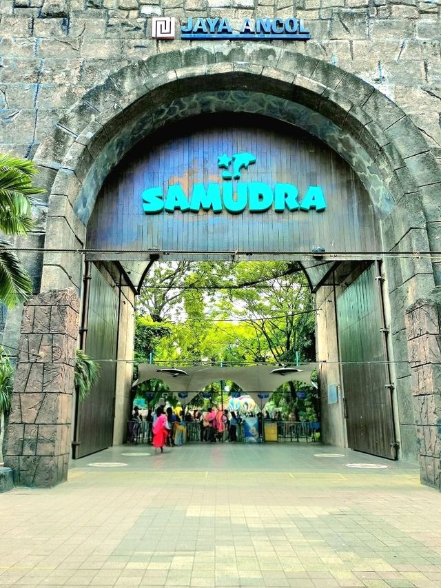 Dive Into the Wonders of SeaWorld Ancol