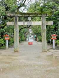 Walking Around Sumiyoshi Taisha – A Peaceful Step Back in Time