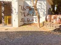 A Poignant Tribute to Jeju's Soulful Landscapes
