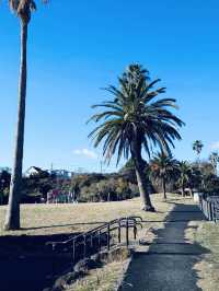 Sajimanooka Park - spacious green park 