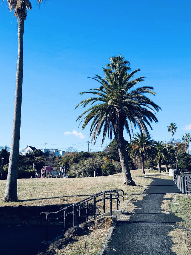 Sajimanooka Park - spacious green park 