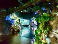 沖繩🇯🇵 DMM Kariyushi水族館