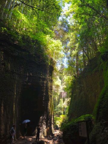 Shikoku's Hidden Pristine Nature, the Scenic Ioki Cave